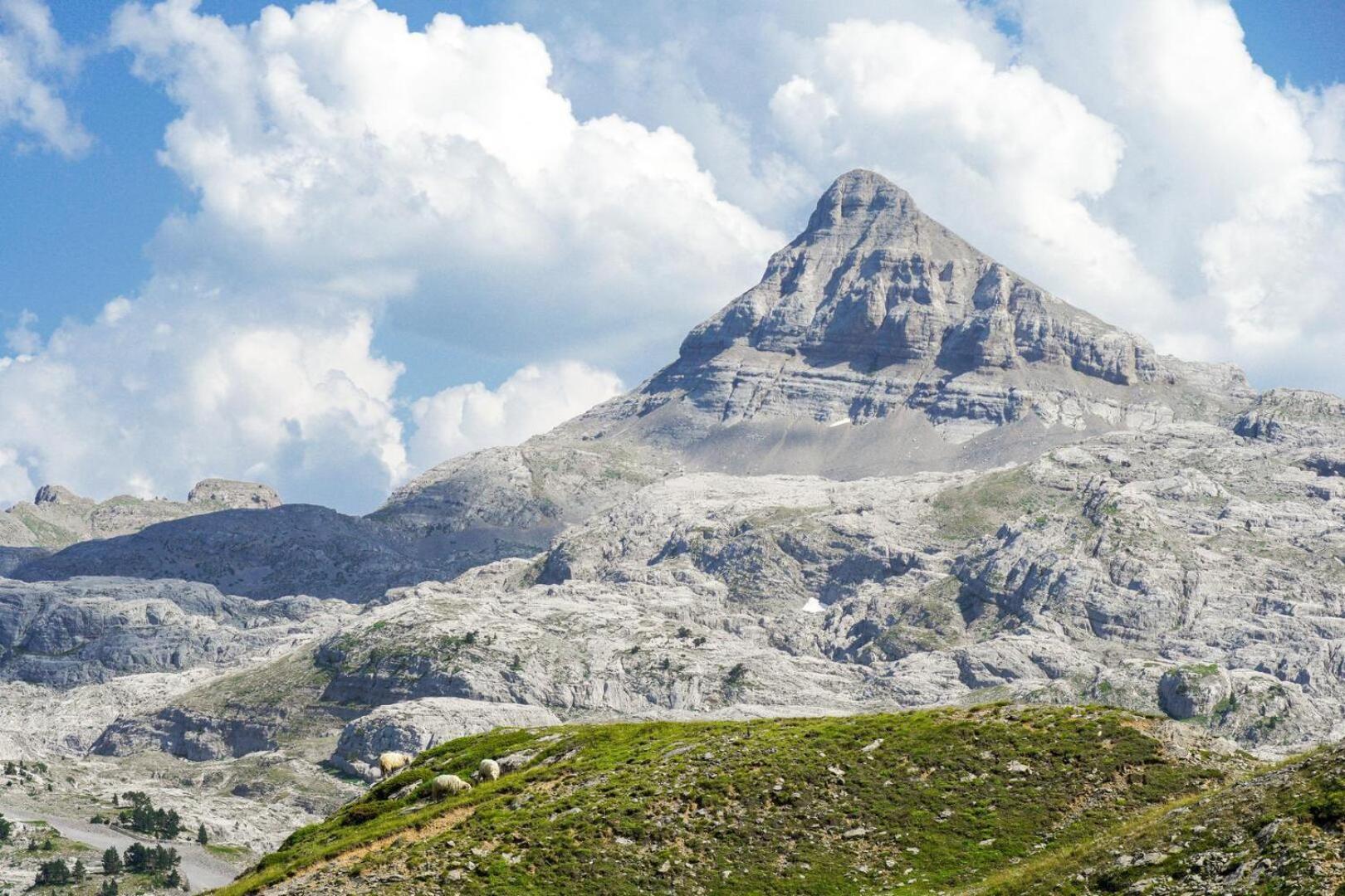 Studio Vue Sur Les Pistes La Pierre Saint Martin Zewnętrze zdjęcie